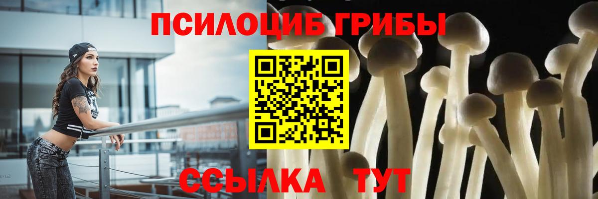 Псилоцибиновые грибы ЛСД  Вход с VPN  Тула  Галлюциногенные грибы Psilocybe 