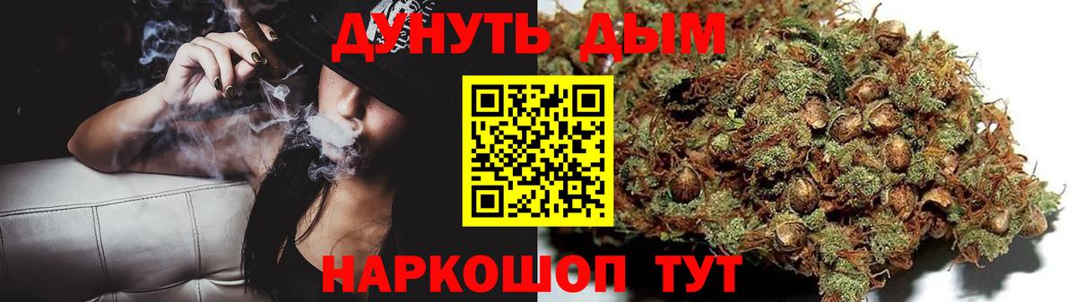 Конопля Amnesia  Каннабис план  Вход с VPN  Тула 